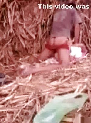Indian chicks have hump on a farm after college